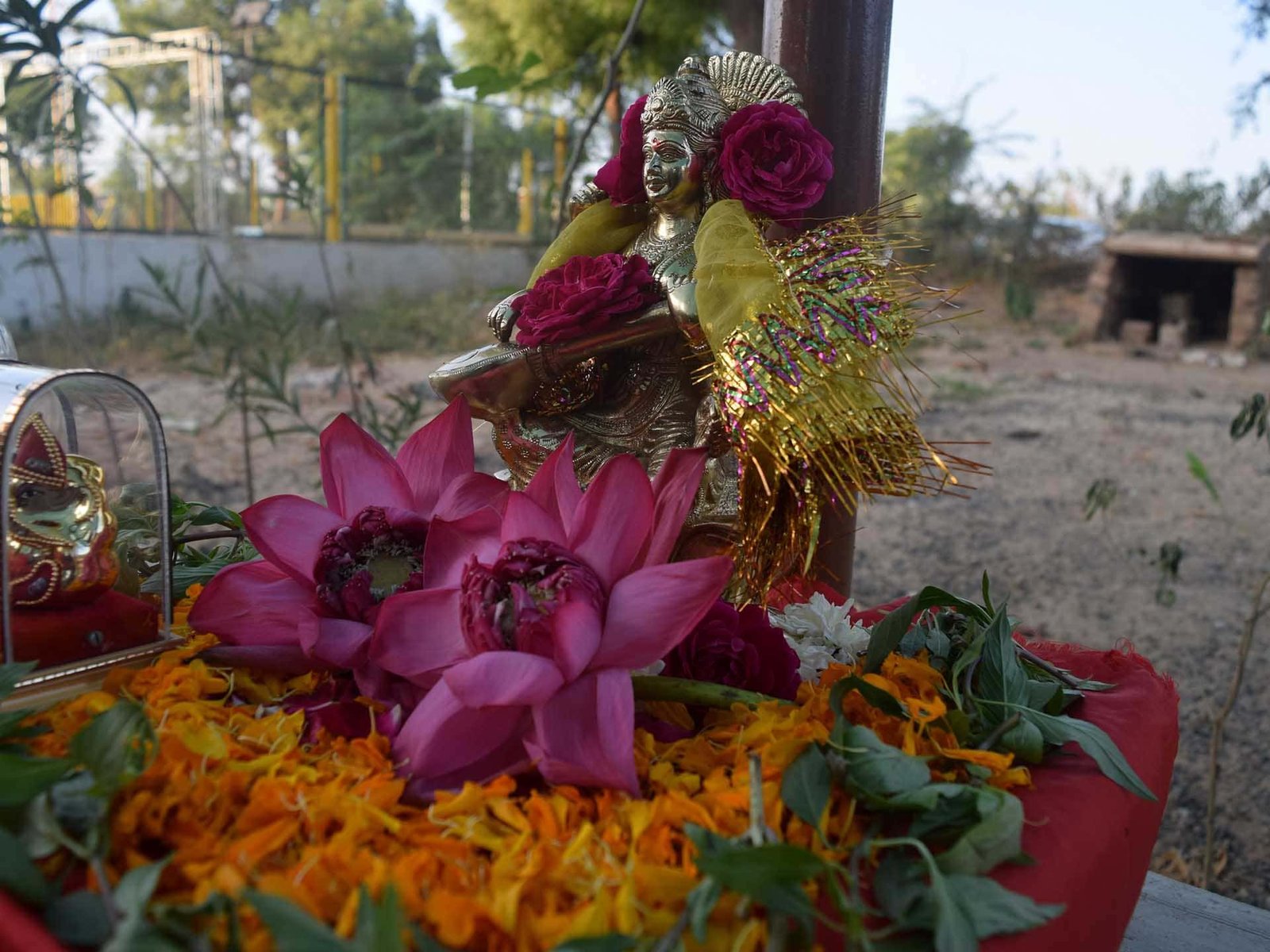 Gyaan Poojan And Diwali Celebration